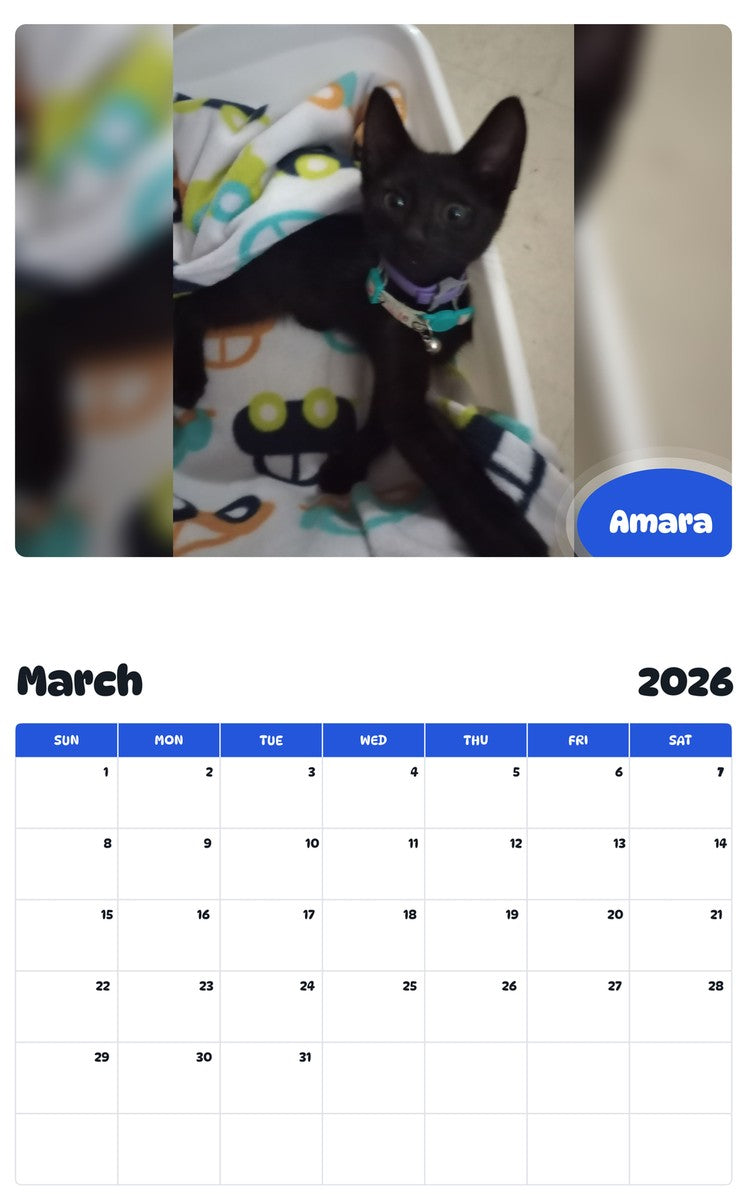 November 2025 - October 2026 Amara - Pawidols Pet Calendar