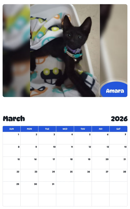 November 2025 - October 2026 Amara - Pawidols Pet Calendar