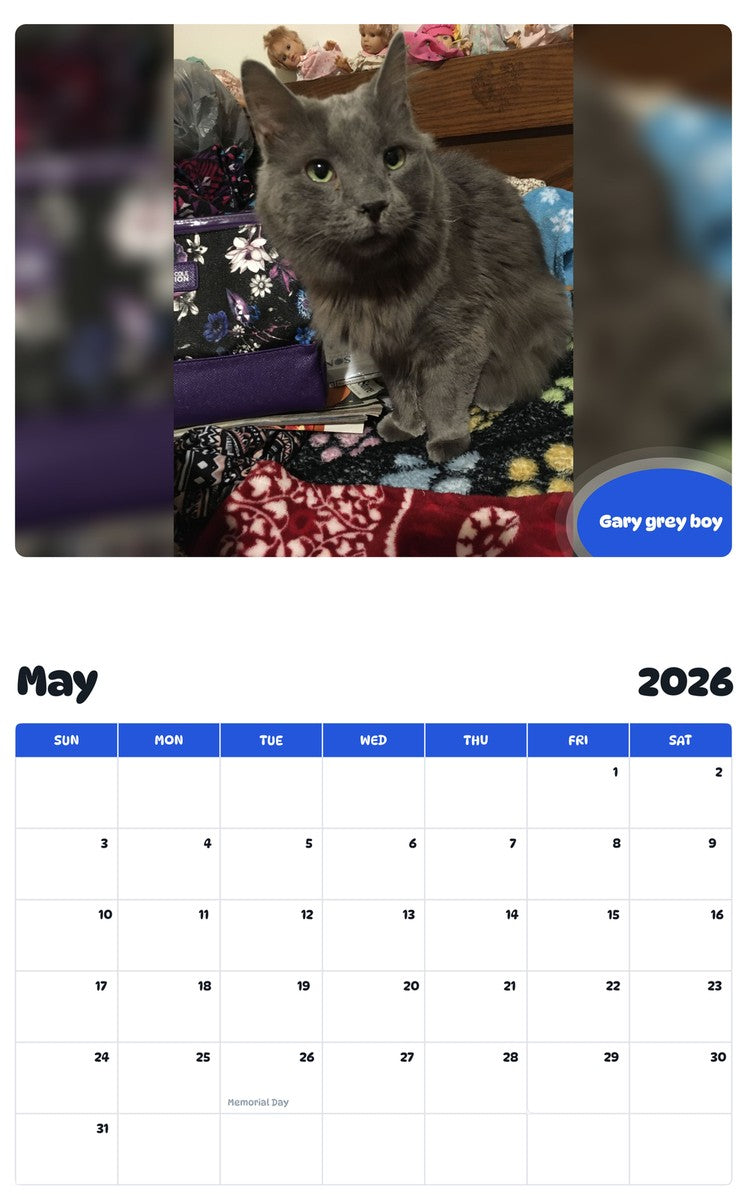 2026 - 2027 Gary grey boy - Pawidols Pet Calendar