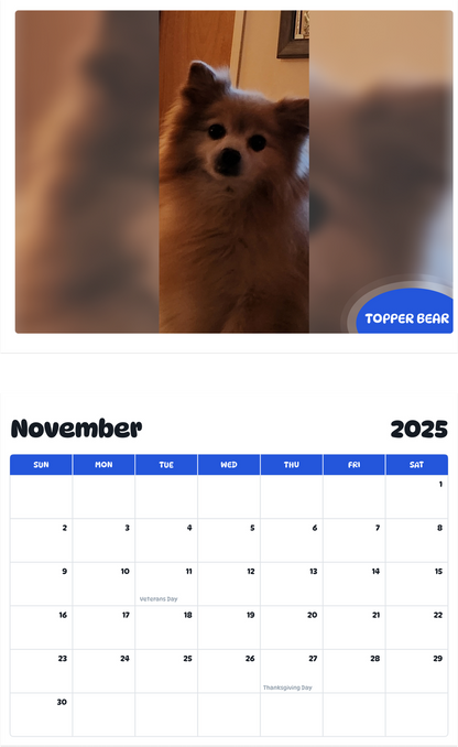 July 2025 - June 2026 Topper bear - Pawidols Pet Calendar