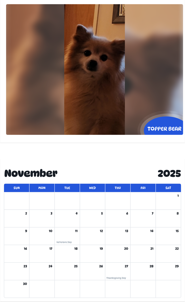 July 2025 - June 2026 Topper bear - Pawidols Pet Calendar