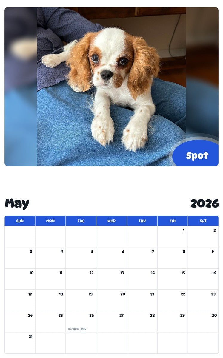 2026 - 2027 Spot - Pawidols Pet Calendar