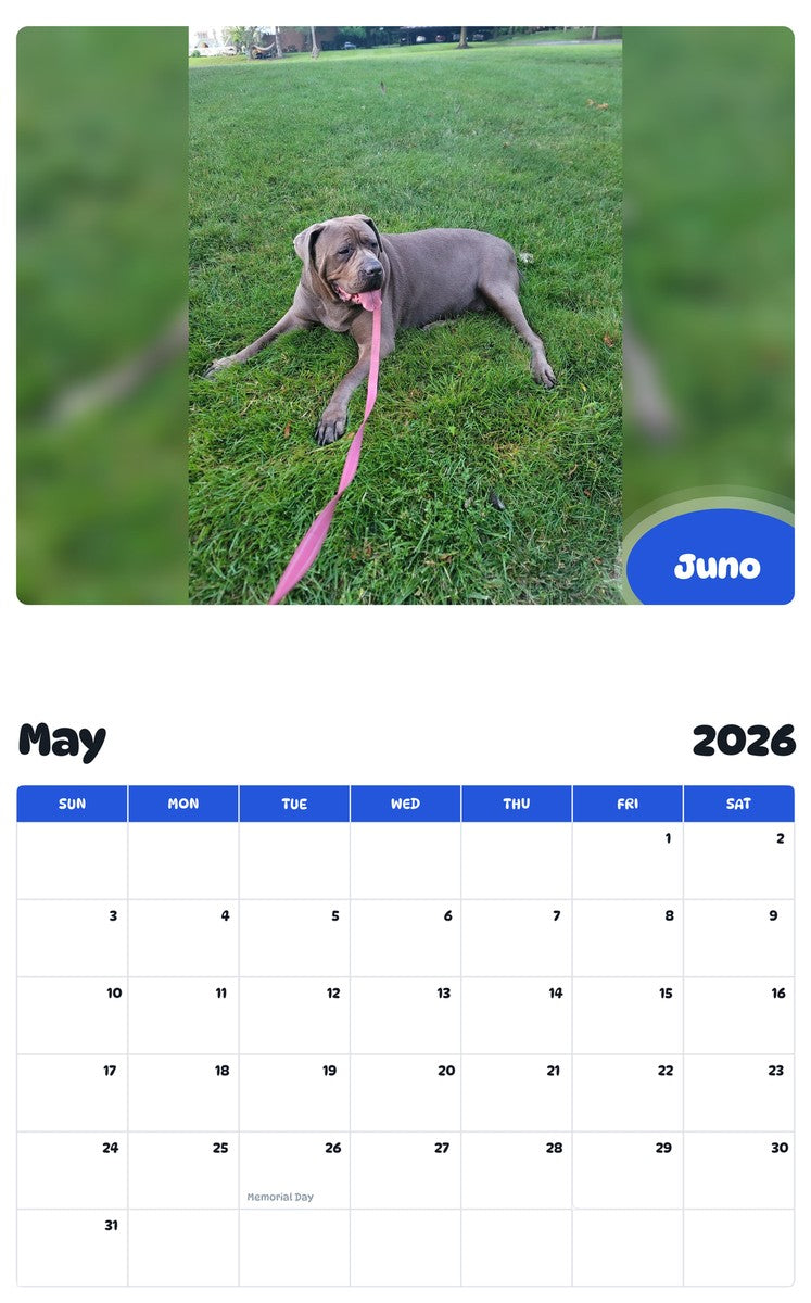 2026 - 2027 Juno - Pawidols Pet Calendar