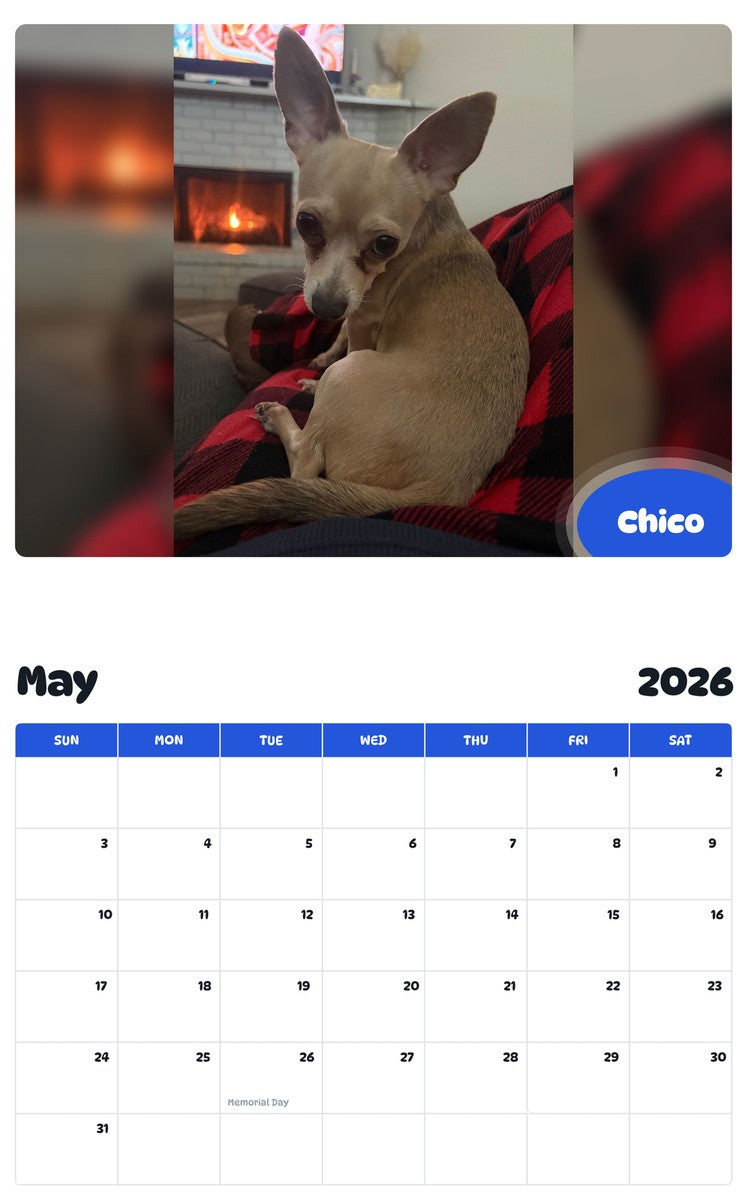 2026 - 2027 Chico - Pawidols Pet Calendar