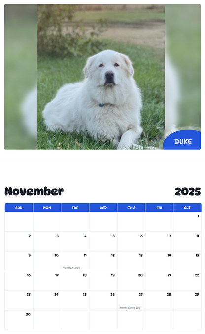July 2025 - June 2026 Duke - Pawidols Pet Calendar