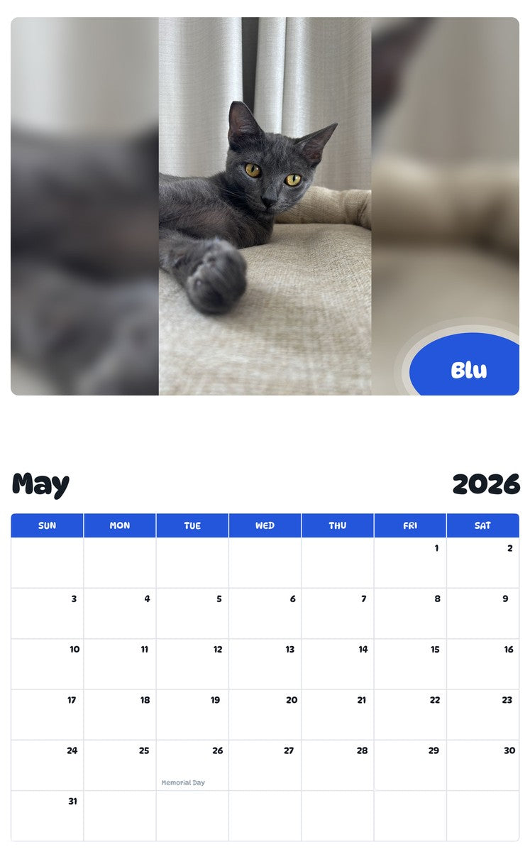 2026 - 2027 Blu - Pawidols Pet Calendar