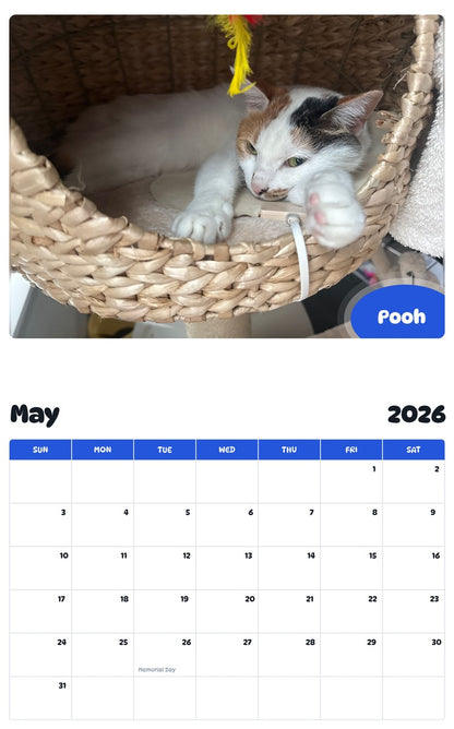 2026 - 2027 Pooh - Pawidols Pet Calendar