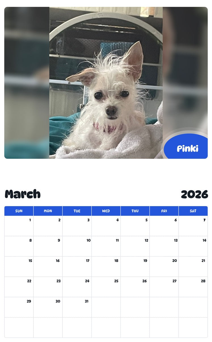 November 2025 - October 2026 Pinki - Pawidols Pet Calendar