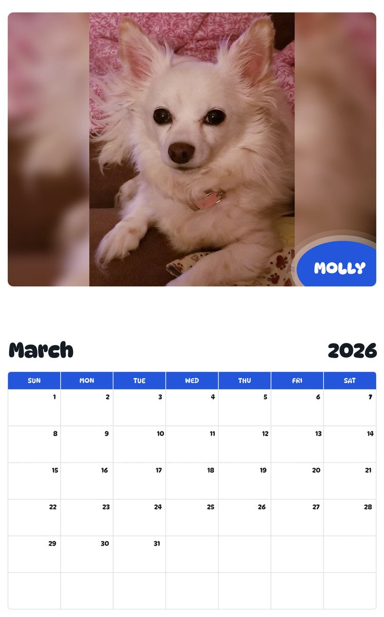 November 2025 - October 2026 MOLLY - Pawidols Pet Calendar