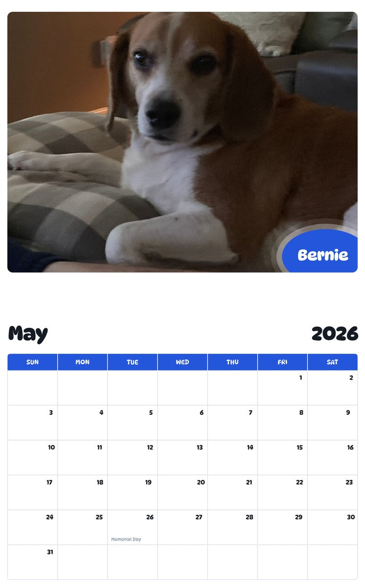 2026 - 2027 Bernie - Pawidols Pet Calendar