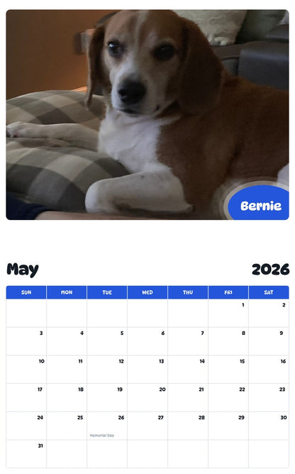 2026 - 2027 Bernie - Pawidols Pet Calendar
