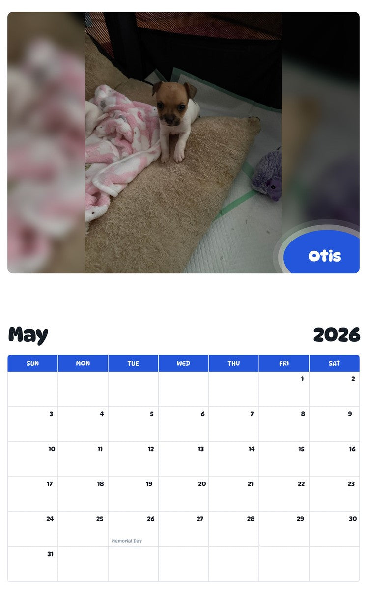 2026 - 2027 Otis - Pawidols Pet Calendar