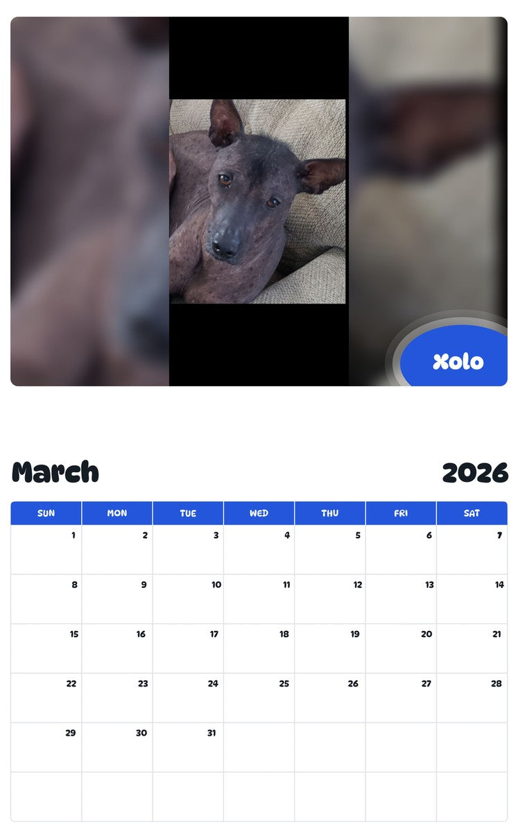 November 2025 - October 2026 Xolo - Pawidols Pet Calendar