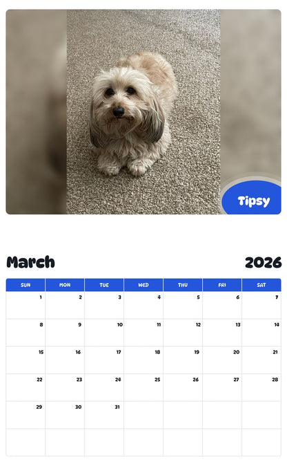 November 2025 - October 2026 Tipsy - Pawidols Pet Calendar
