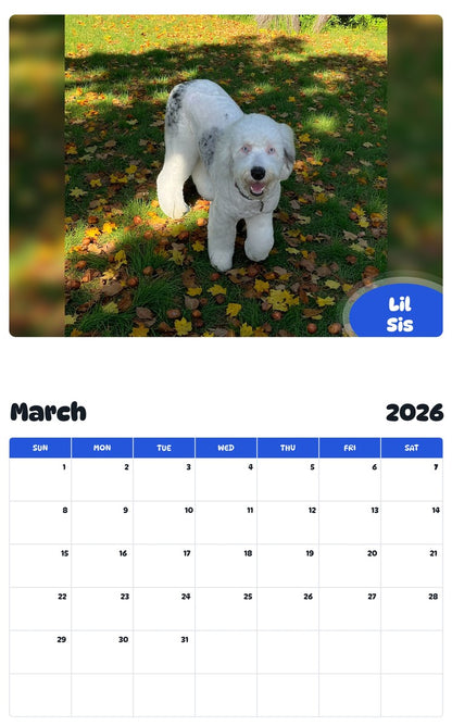 November 2025 - October 2026 Lil Sis - Pawidols Pet Calendar
