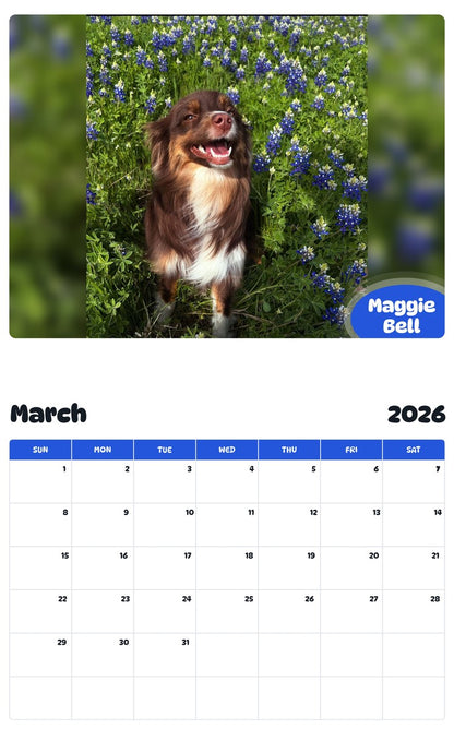 November 2025 - October 2026 Maggie Bell - Pawidols Pet Calendar