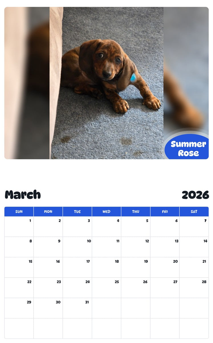 November 2025 - October 2026 Summer Rose - Pawidols Pet Calendar