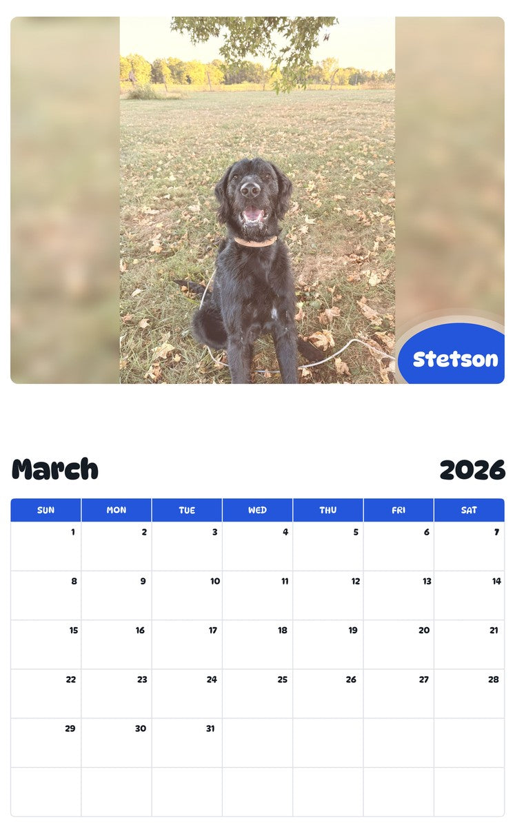 November 2025 - October 2026 Stetson - Pawidols Pet Calendar