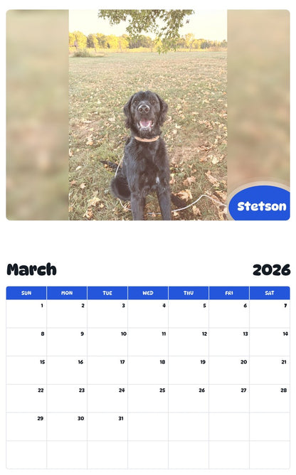 November 2025 - October 2026 Stetson - Pawidols Pet Calendar