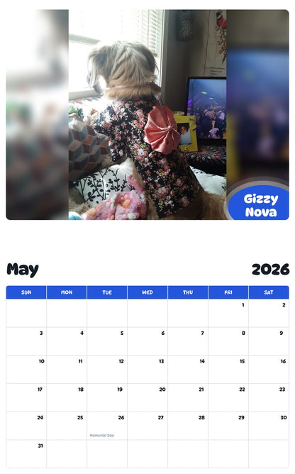 2026 - 2027 Gizzy Nova - Pawidols Pet Calendar