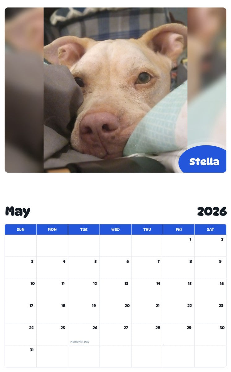2026 - 2027 Stella - Pawidols Pet Calendar