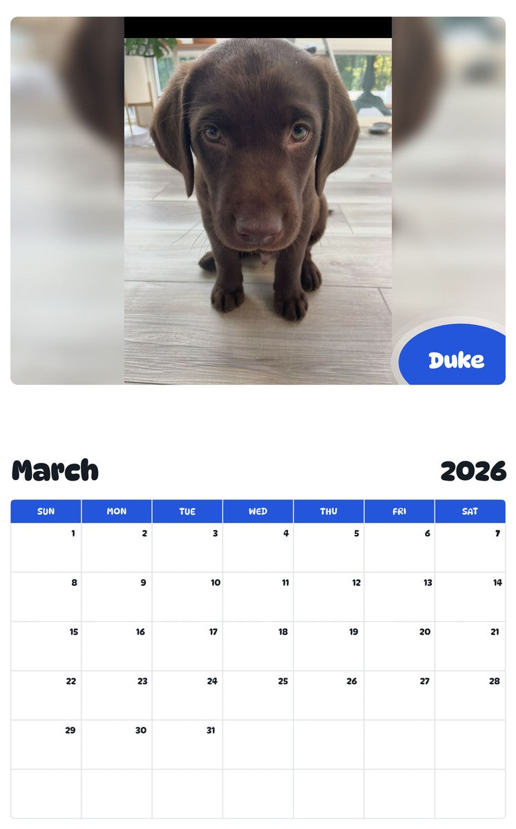 November 2025 - October 2026 Duke - Pawidols Pet Calendar
