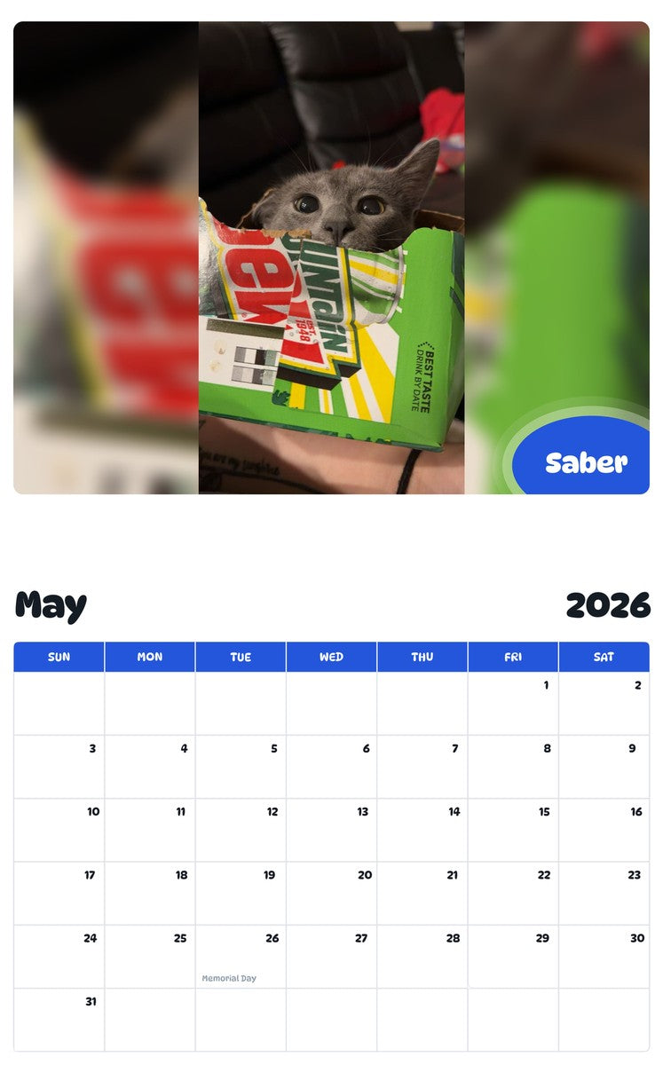 2026 - 2027 Saber - Pawidols Pet Calendar