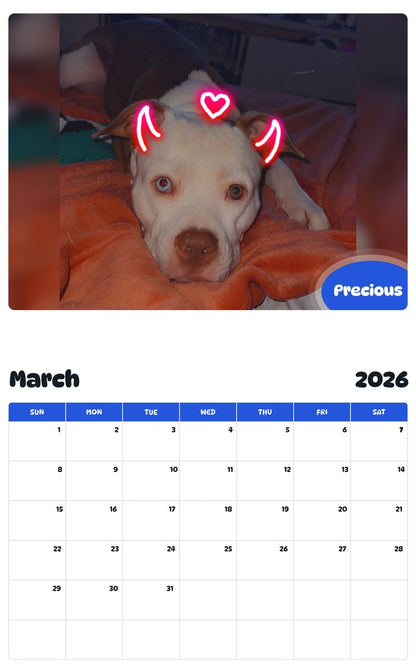November 2025 - October 2026 Precious - Pawidols Pet Calendar