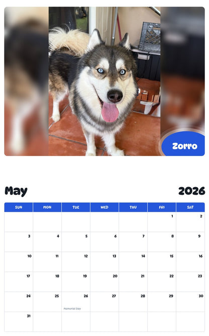 2026 - 2027 Zorro - Pawidols Pet Calendar