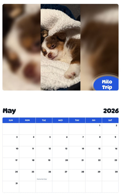 2026 - 2027 Milo Trip - Pawidols Pet Calendar