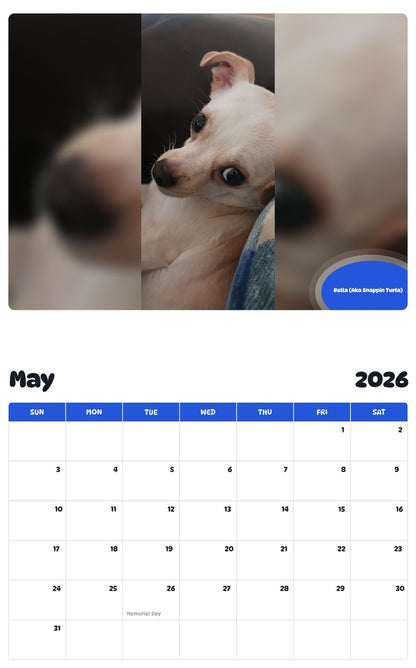 2026 - 2027 Bella (Aka Snappin Turla) - Pawidols Pet Calendar