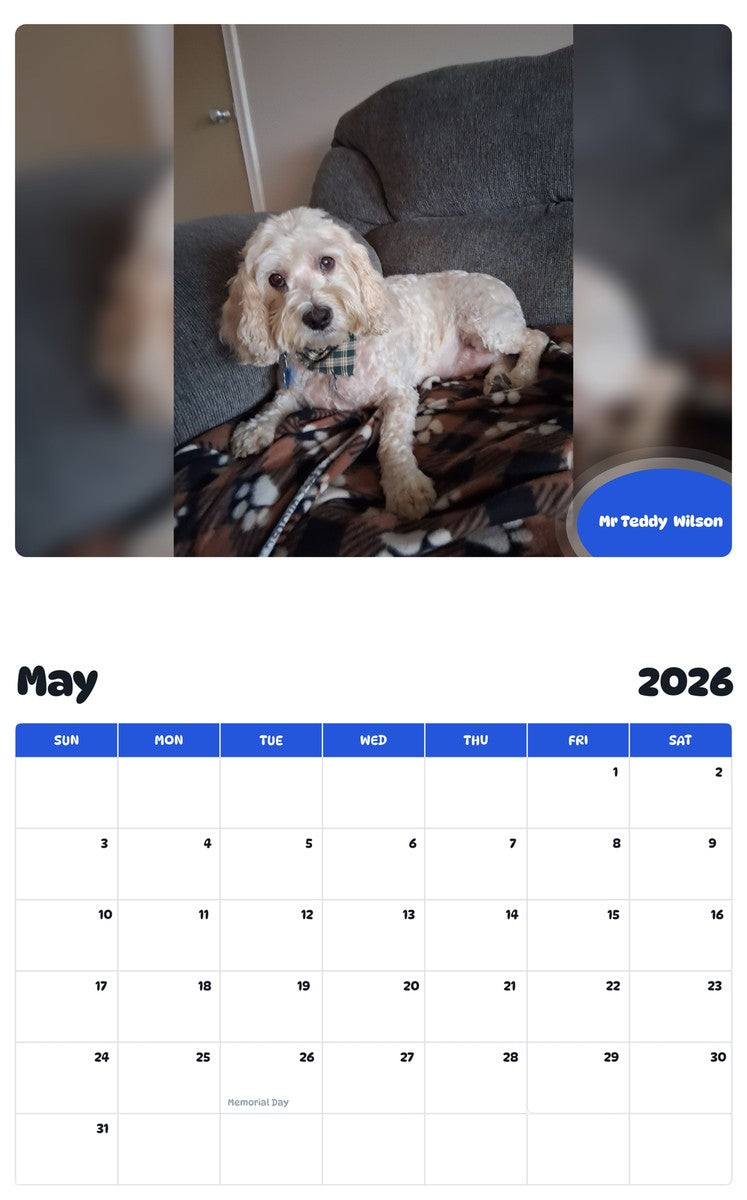 2026 - 2027 Mr Teddy  Wilson - Pawidols Pet Calendar