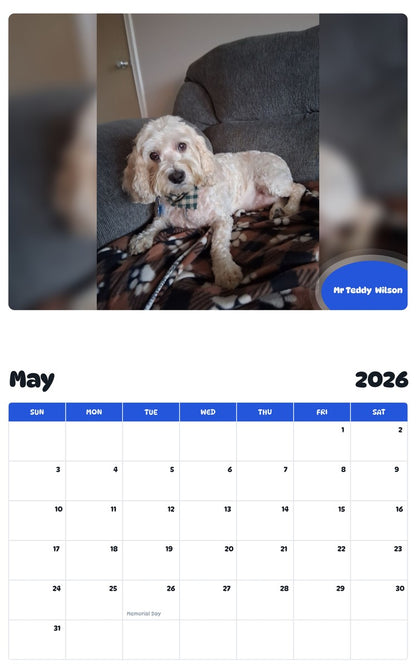 2026 - 2027 Mr Teddy  Wilson - Pawidols Pet Calendar