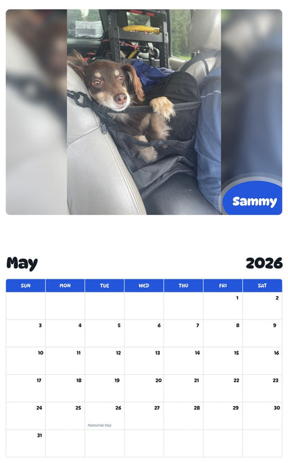2026 - 2027 Sammy - Pawidols Pet Calendar
