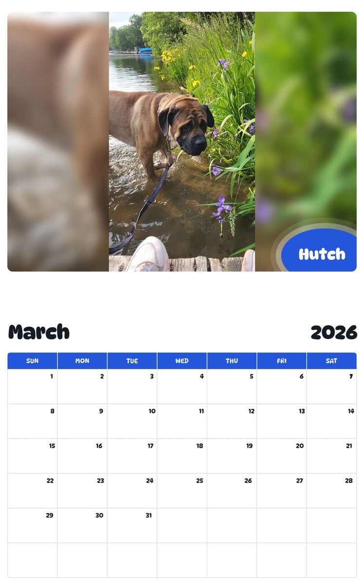 November 2025 - October 2026 Hutch - Pawidols Pet Calendar