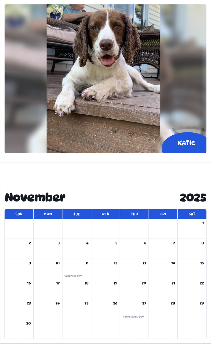 July 2025 - June 2026 Katie - Pawidols Pet Calendar