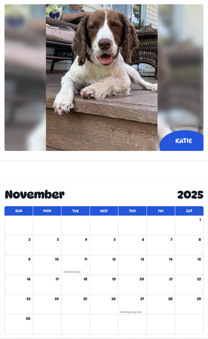 July 2025 - June 2026 Katie - Pawidols Pet Calendar