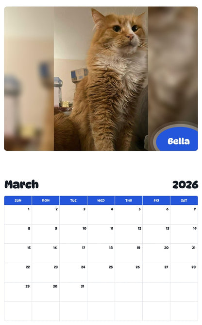 November 2025 - October 2026 Bella - Pawidols Pet Calendar