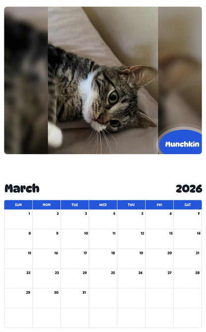 November 2025 - October 2026 Munchkin - Pawidols Pet Calendar
