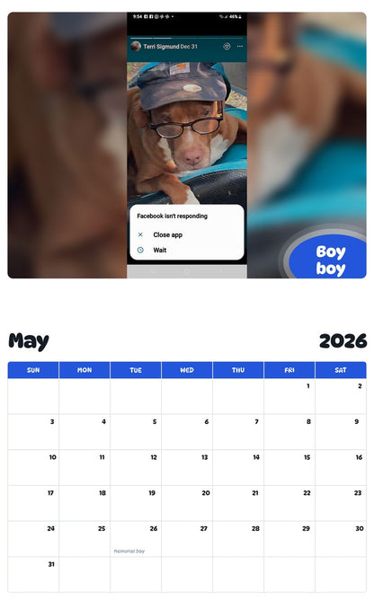 2026 - 2027 Boy boy - Pawidols Pet Calendar