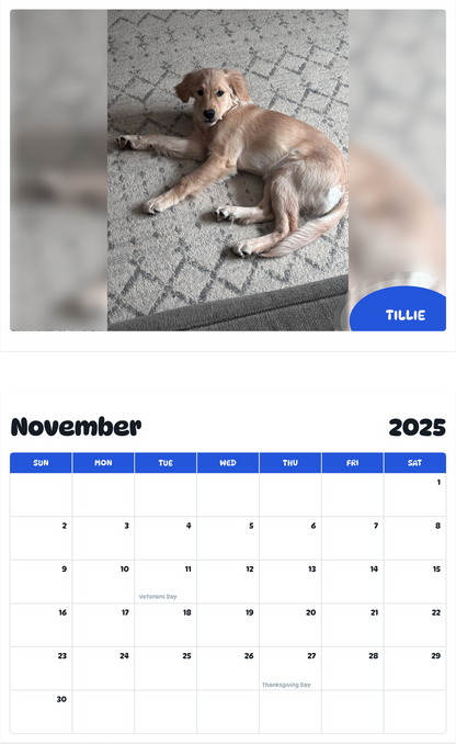 July 2025 - June 2026 Tillie - Pawidols Pet Calendar