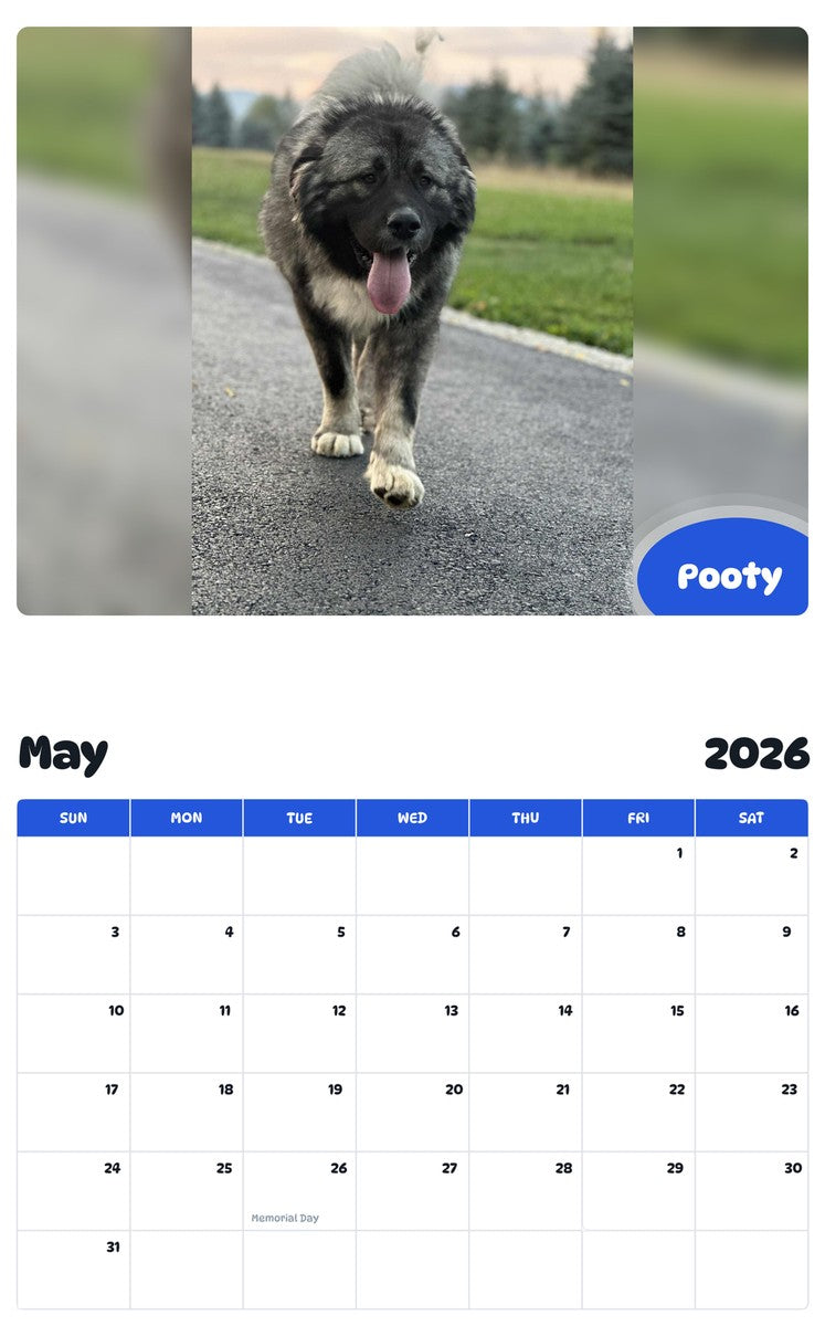 2026 - 2027 Pooty - Pawidols Pet Calendar