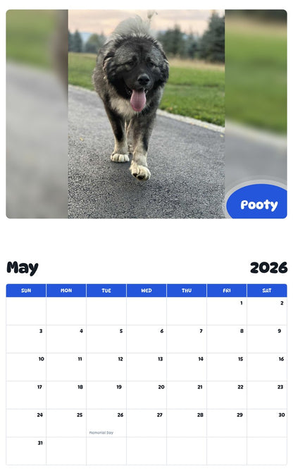 2026 - 2027 Pooty - Pawidols Pet Calendar