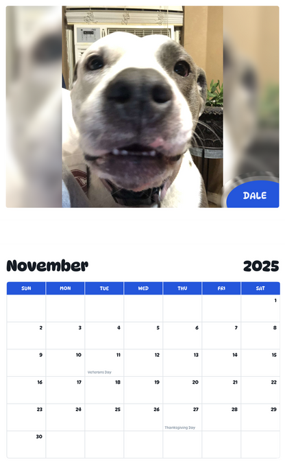 July 2025 - June 2026 Dale' - Pawidols Pet Calendar