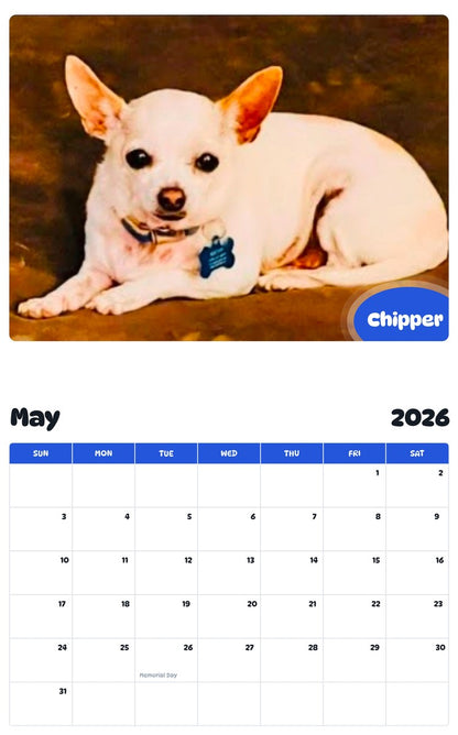 2026 - 2027 Chipper - Pawidols Pet Calendar