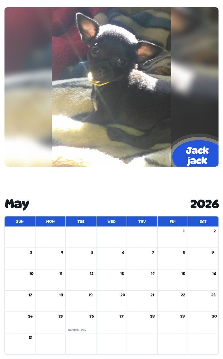2026 - 2027 Jack jack - Pawidols Pet Calendar