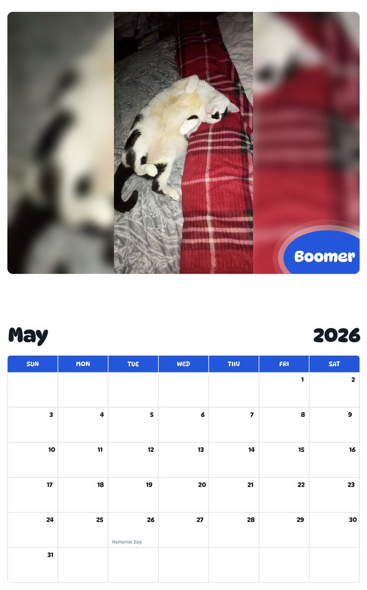 2026 - 2027 Boomer - Pawidols Pet Calendar
