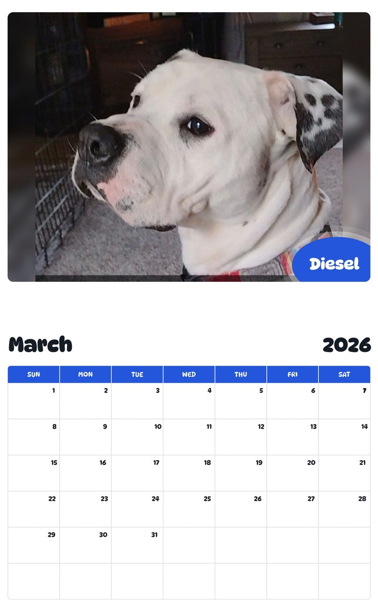 November 2025 - October 2026 Diesel - Pawidols Pet Calendar
