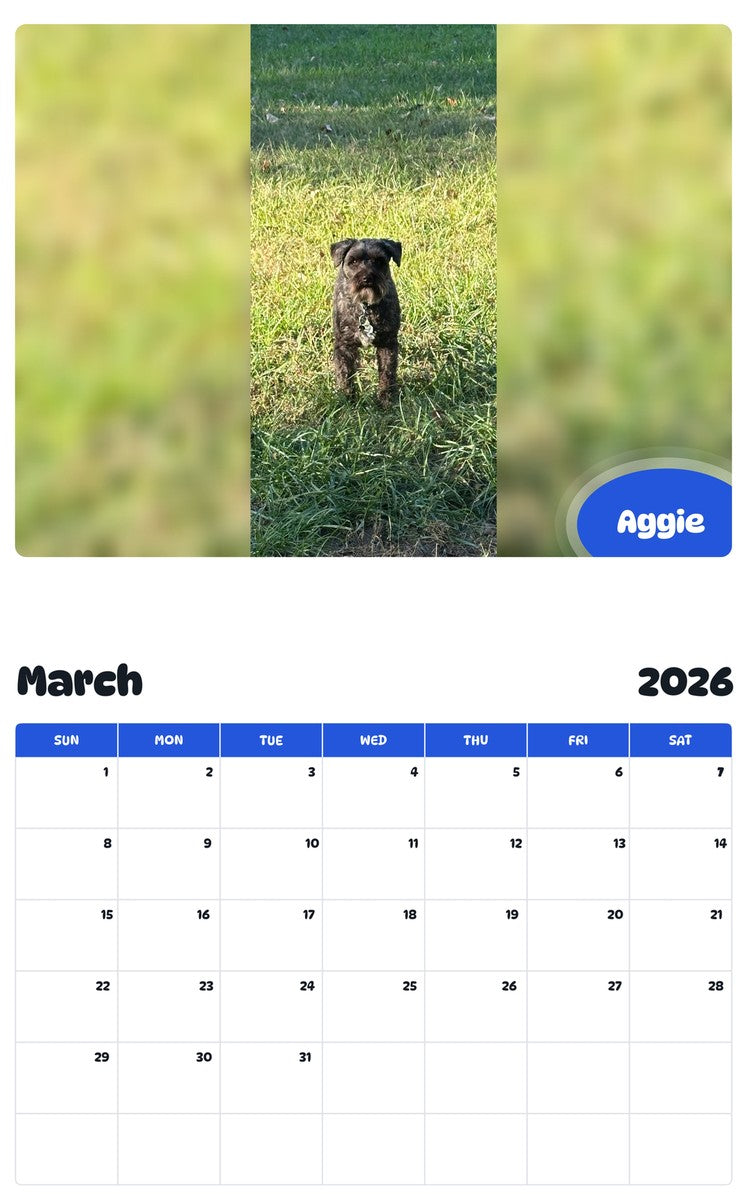 November 2025 - October 2026 Aggie - Pawidols Pet Calendar