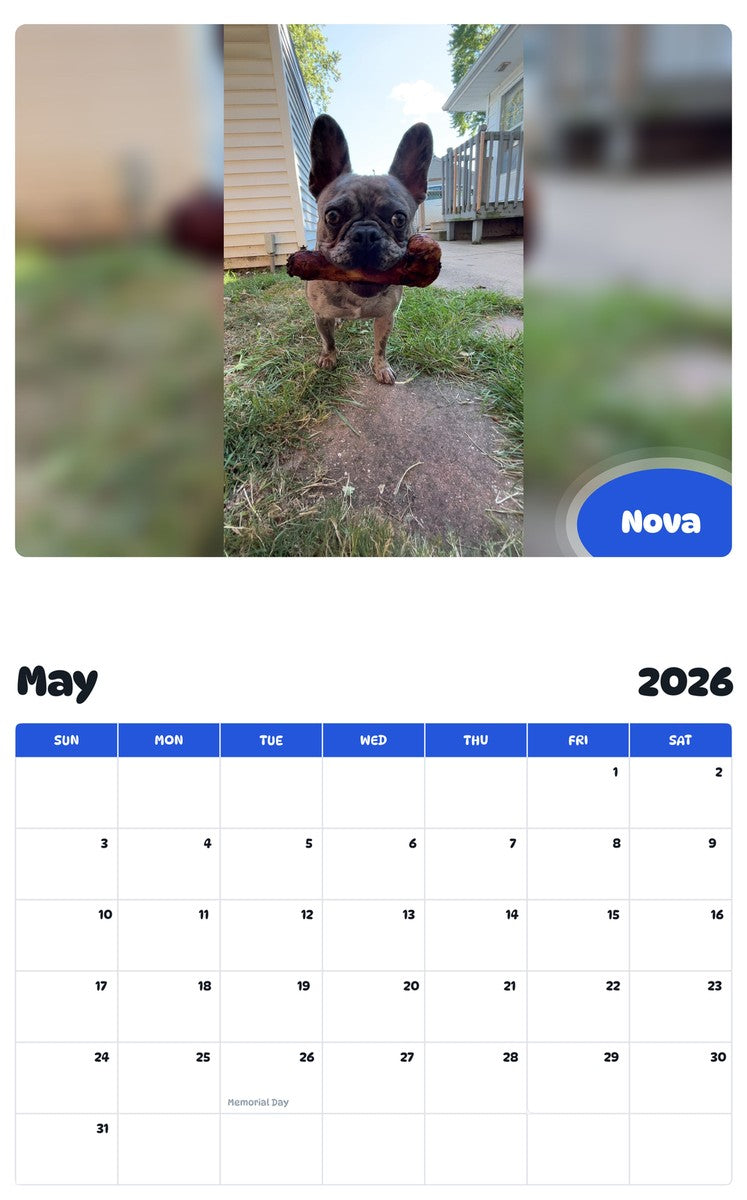 2026 - 2027 Nova - Pawidols Pet Calendar
